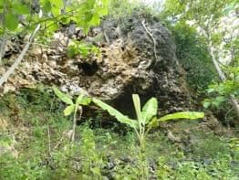 Goa tempat pertapaan di Desa Girisuko